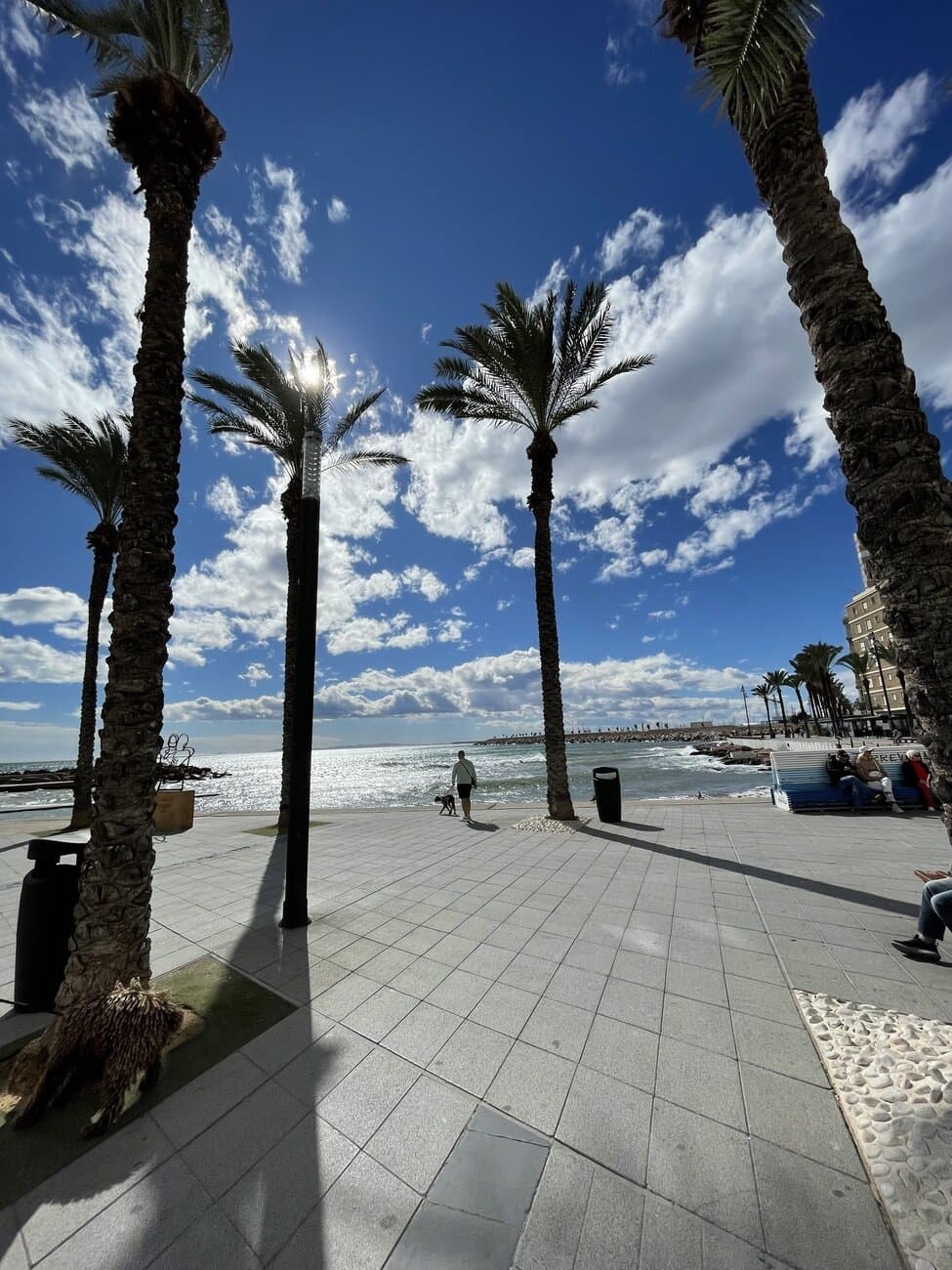Penthouse in Torrevieja - 3