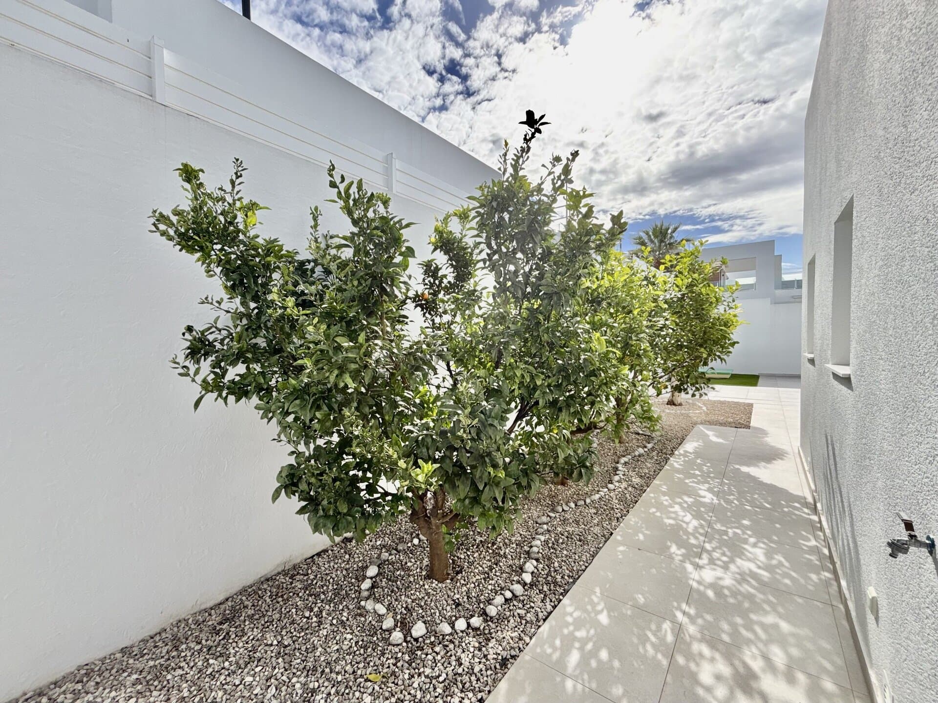 3-Bedroom Detached House in Benijófar - 9