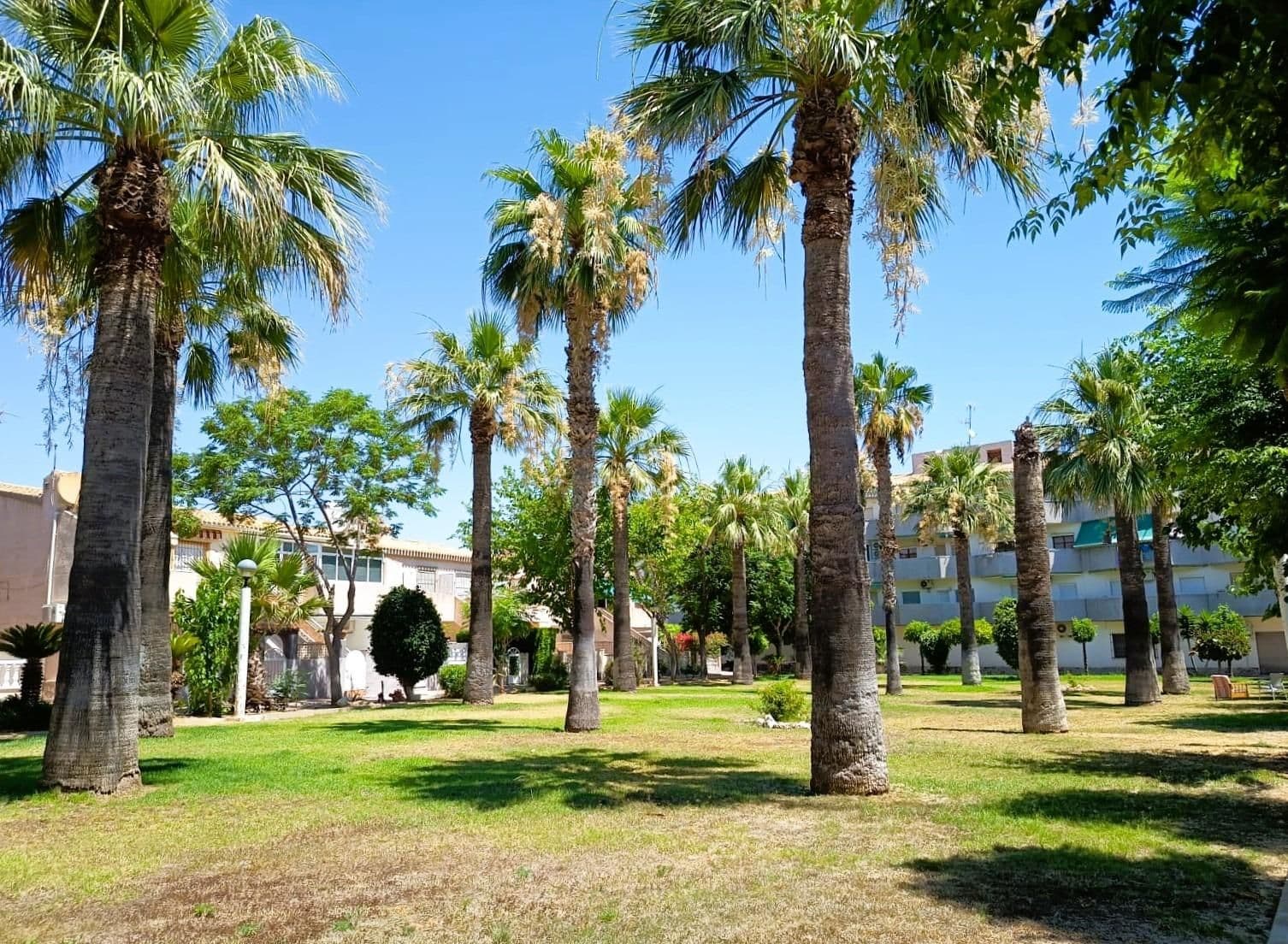 Bungalow de 2 Chambres à Campoamor, Orihuela Costa - 29