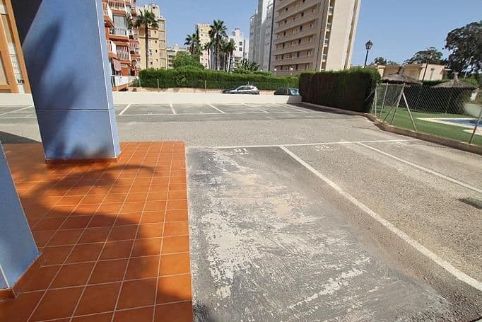 3-Bedroom Apartment in Avenida del Puerto, Guardamar del Segura - 25