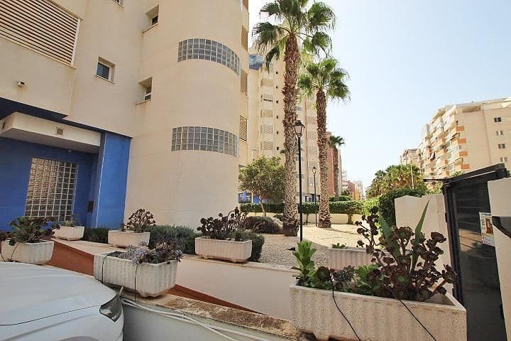 3-Bedroom Apartment in Avenida del Puerto, Guardamar del Segura - 26