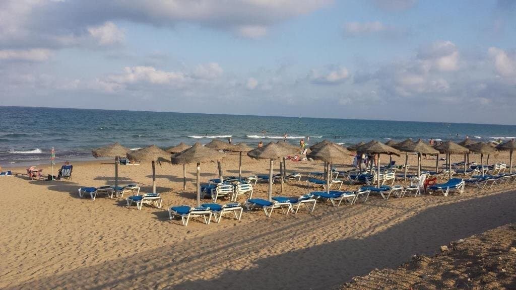 3-Bedroom Bungalow in Los Europeos, Torrevieja - 22
