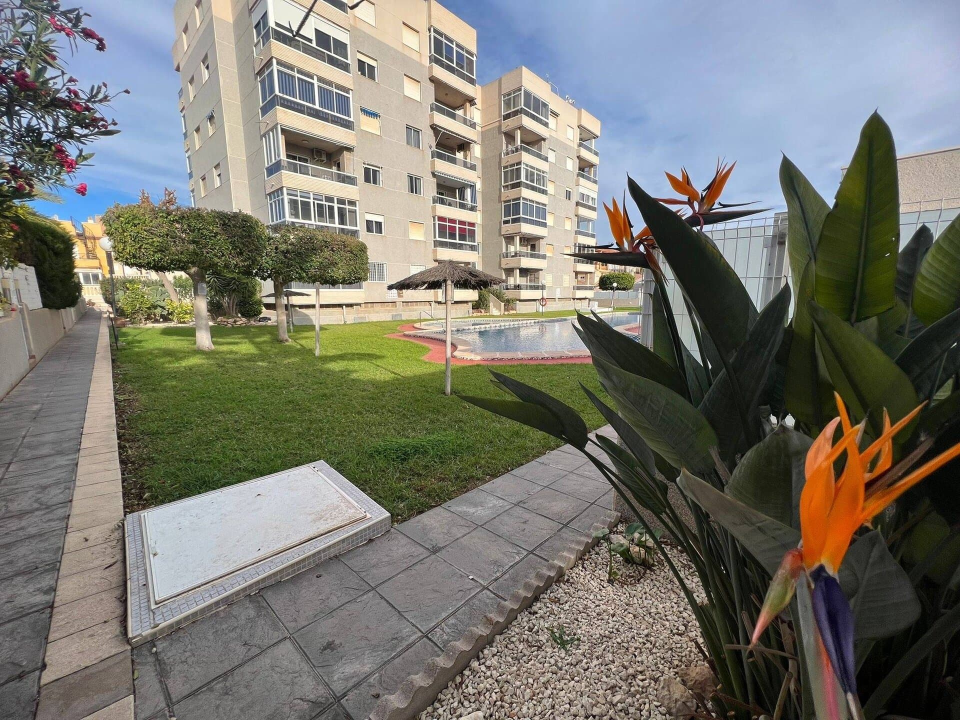 2 magamistuba - Korter - Torrevieja - 4