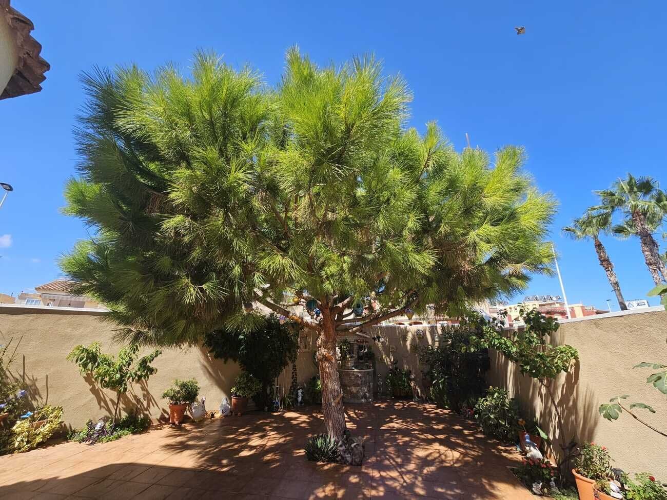 3-Bedroom Villa in Centro, Torrevieja - 25