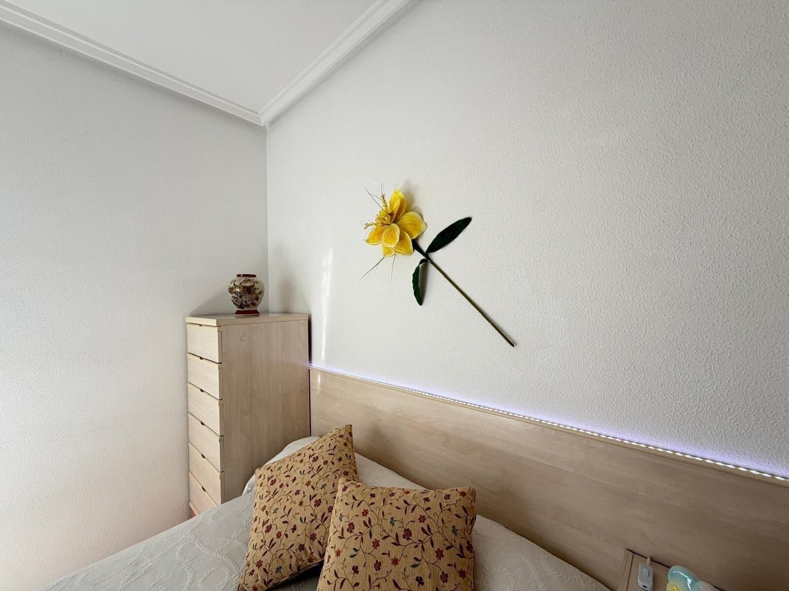 Penthouse met 2 Slaapkamers in Estacion de Autobuses, Torrevieja - 20