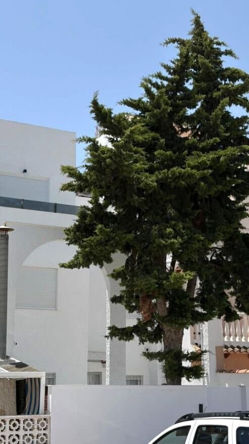 Casa de 3 Dormitorios en Playa del Cura, Torrevieja - 7