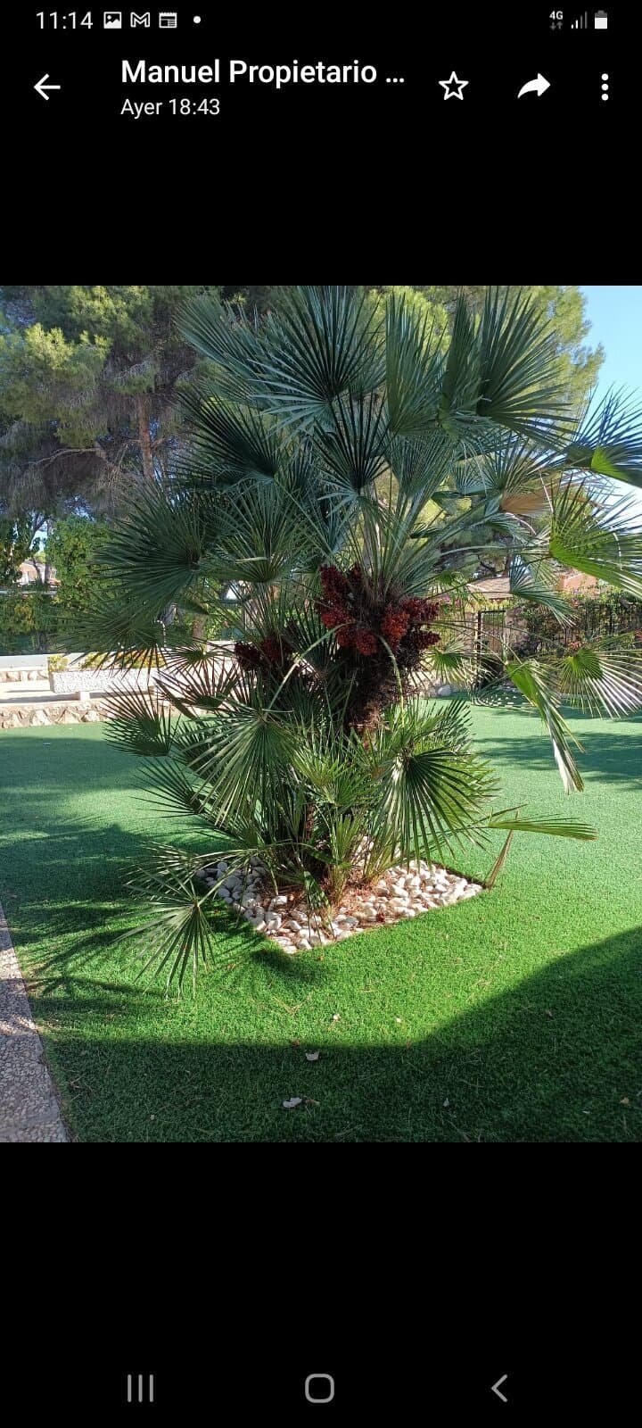 6-Zimmer Villa in Campoamor, Orihuela Costa - 39
