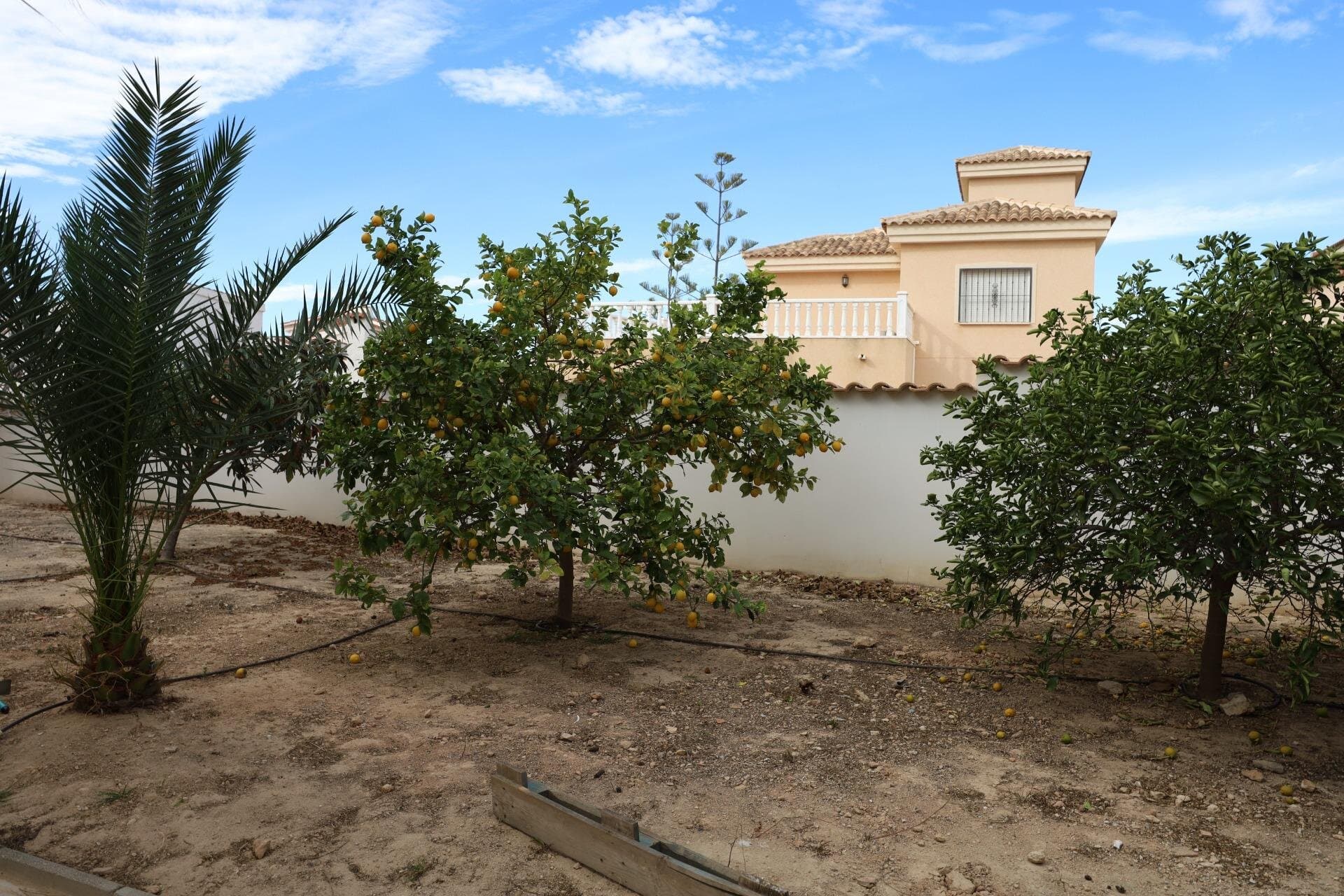 Villa de 5 Dormitorios en Rojales - 23