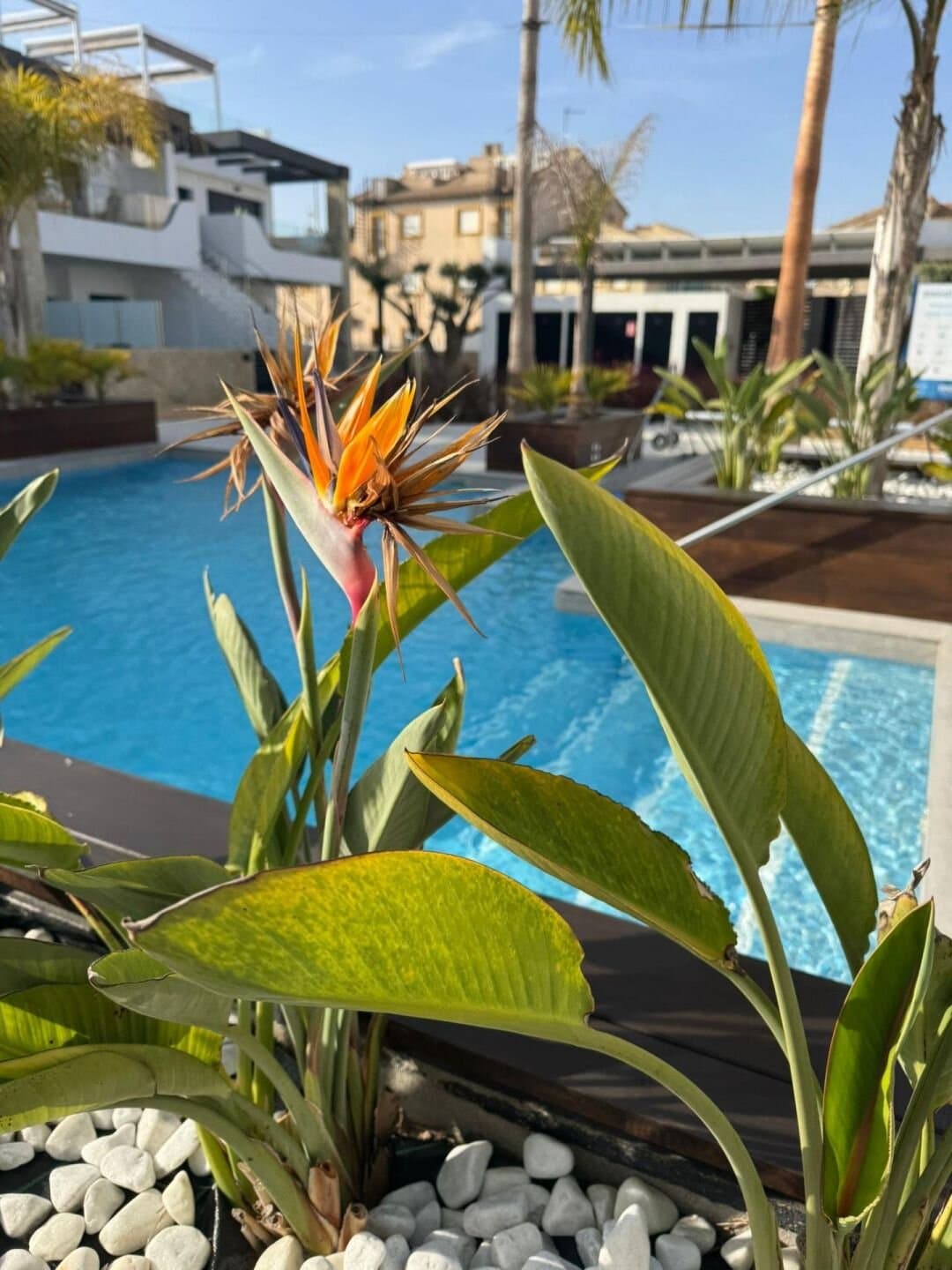 Apartamento de 3 Dormitorios en Rocio del Mar, Orihuela Costa - 40