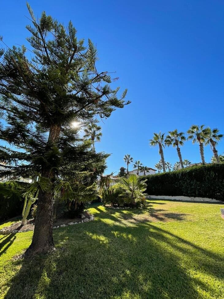 3-Zimmer Villa in Orihuela Costa - 5