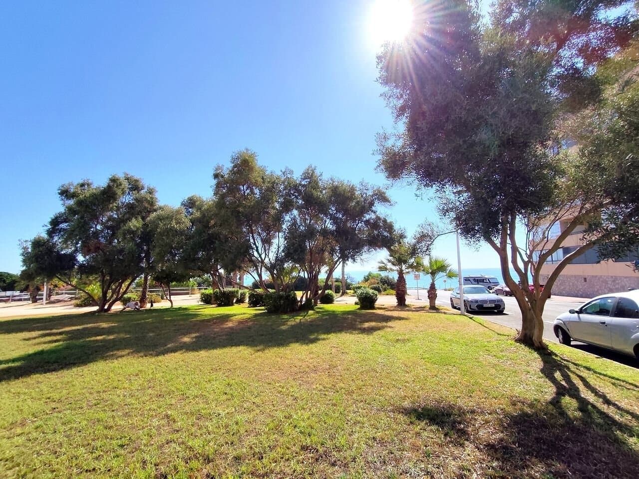 Apartment in Torrevieja - 23