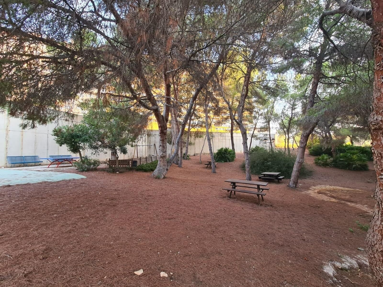 Appartement de 3 Chambres à Altos de Campoamor, Orihuela Costa - 36