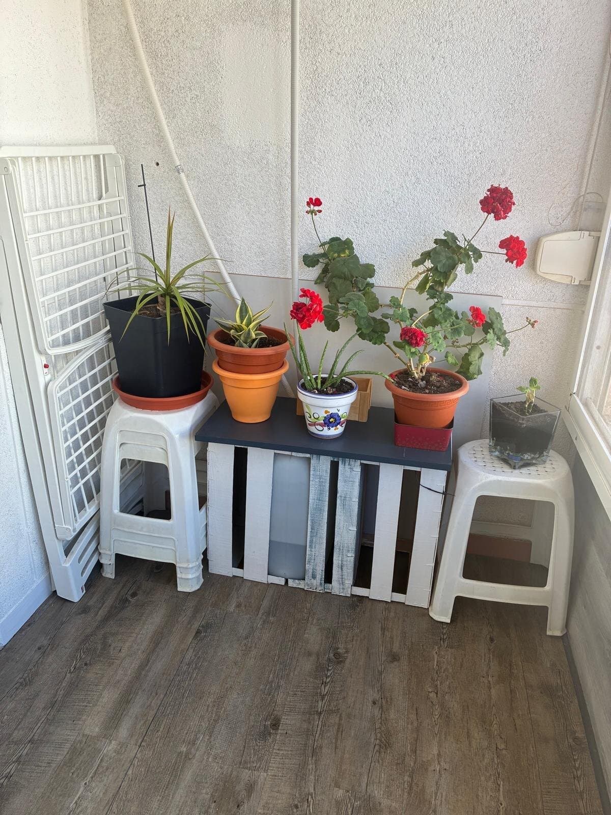 2-Bedroom Apartment in Torrevieja, Torrevieja - 12