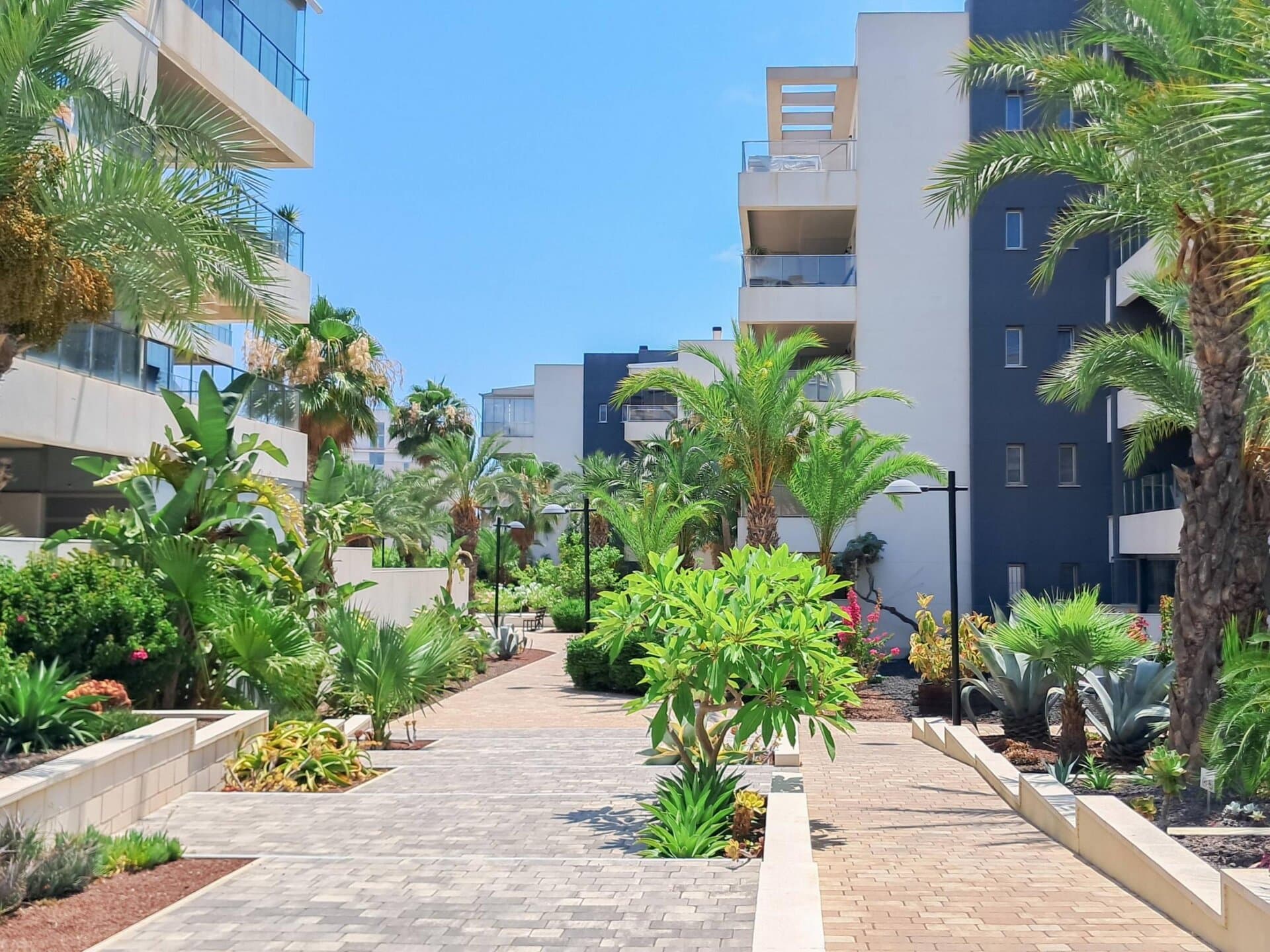 3-Bedroom Apartment in Los Dolses, Orihuela Costa - 16