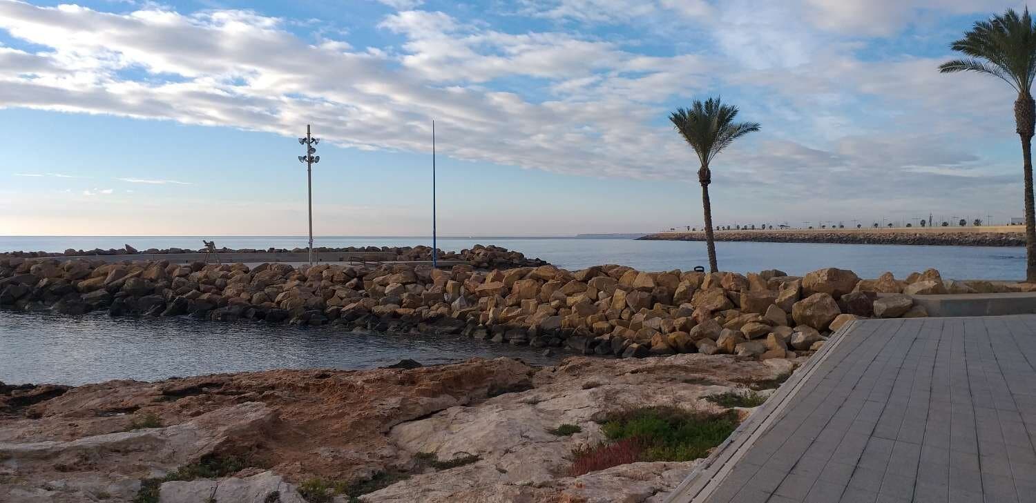 Apartment in Torrevieja - 5