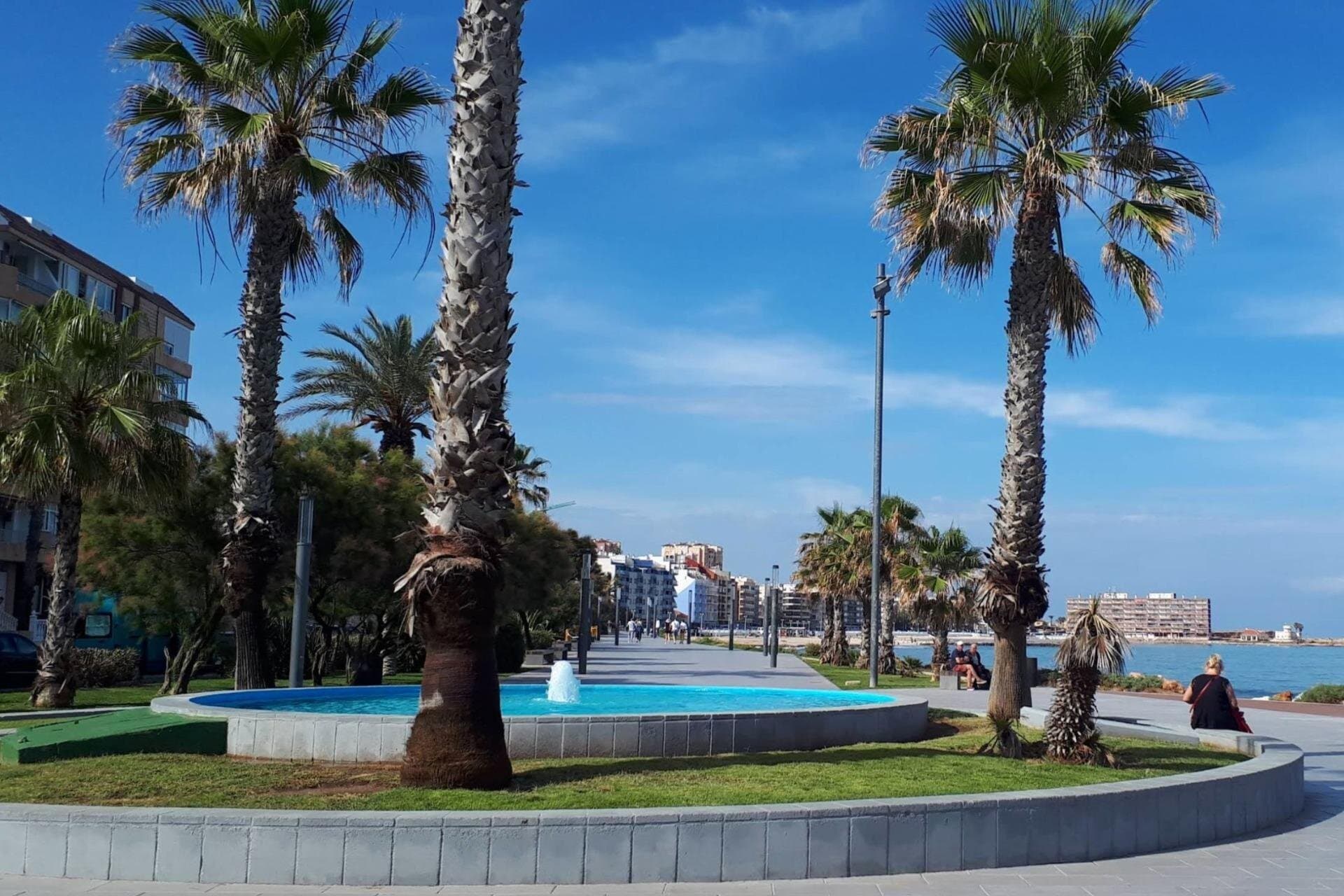 2-Bedroom Apartment in Estacion de Autobuses, Torrevieja - 28