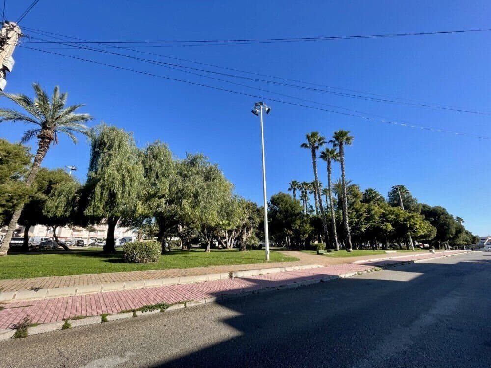 1-Bedroom Apartment in Estacion de Autobuses, Torrevieja - 22