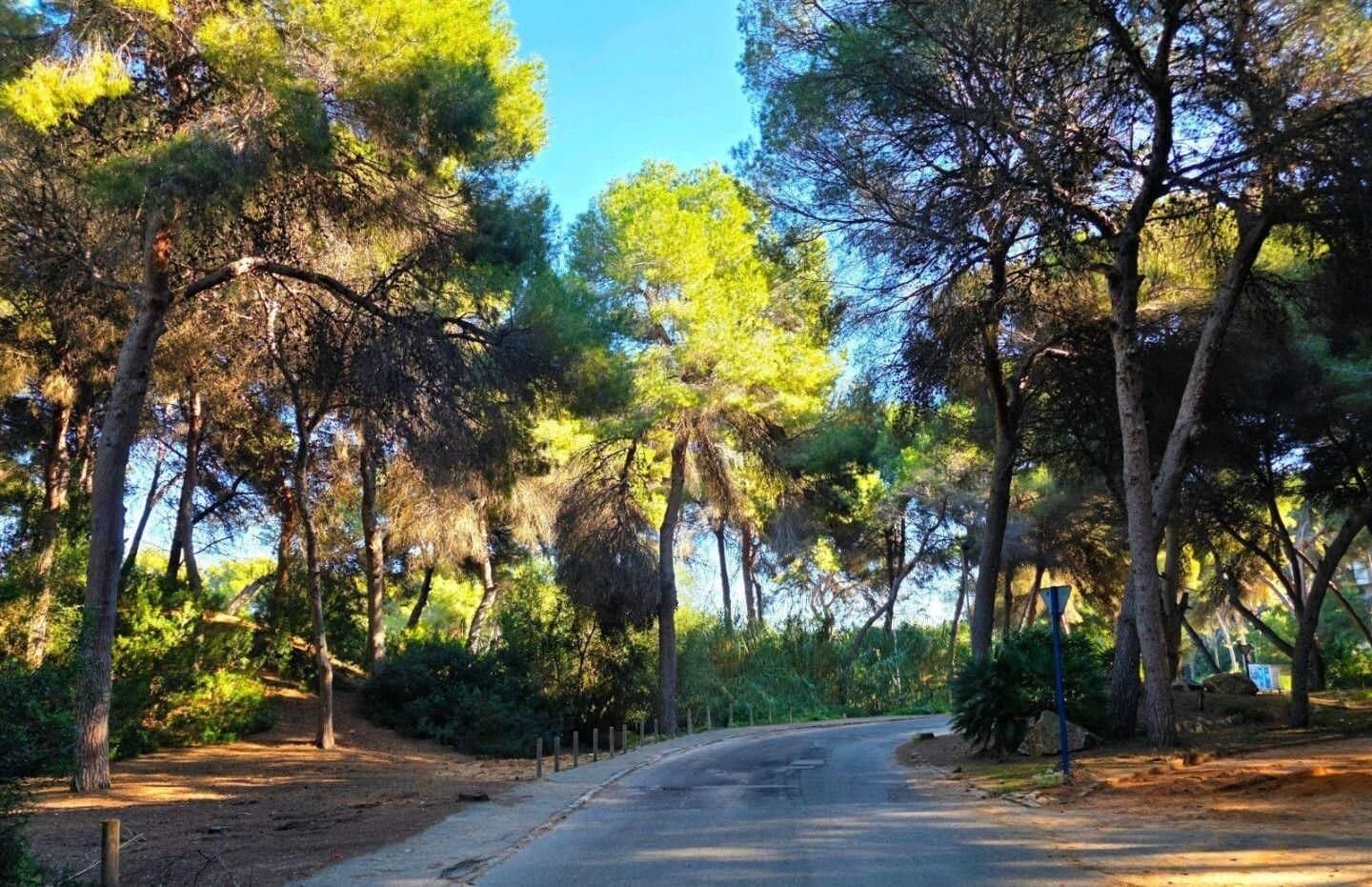 Maison de 5 Chambres à Altos de Campoamor, Orihuela Costa - 36