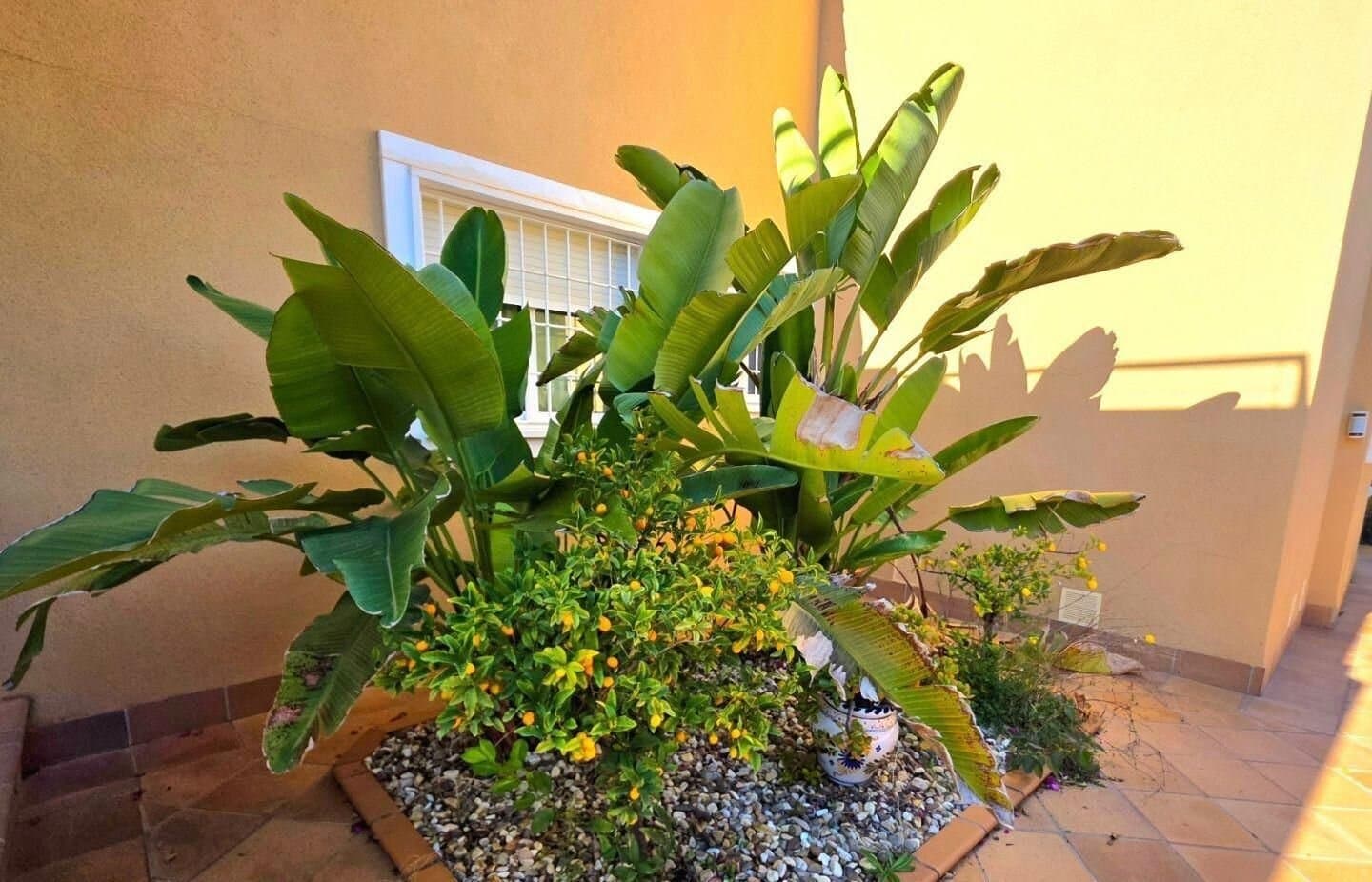 Maison de 5 Chambres à Altos de Campoamor, Orihuela Costa - 44