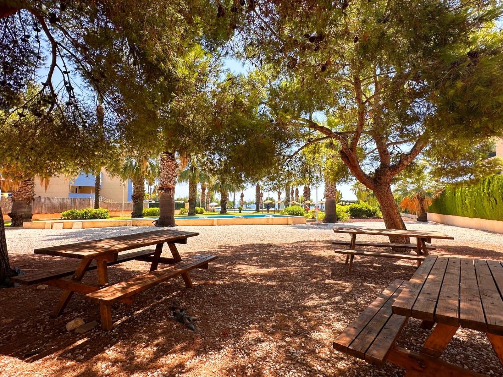 2-Zimmer Wohnung in Lomas de Cabo Roig, Orihuela Costa - 43