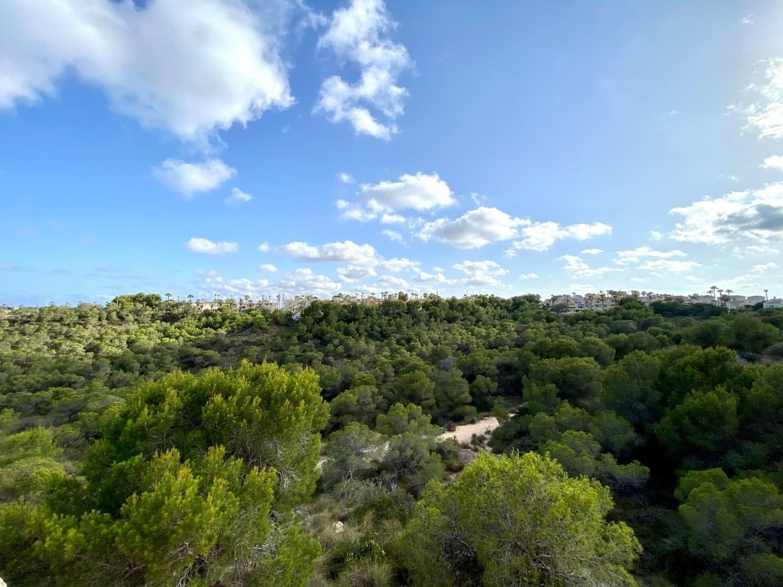 Bungalow de 3 Chambres à Las Ramblas, Orihuela Costa - 49