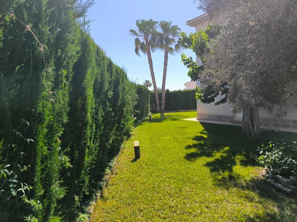 5-Zimmer Villa in La Siesta - El Salado - Torreta, Torrevieja - 8