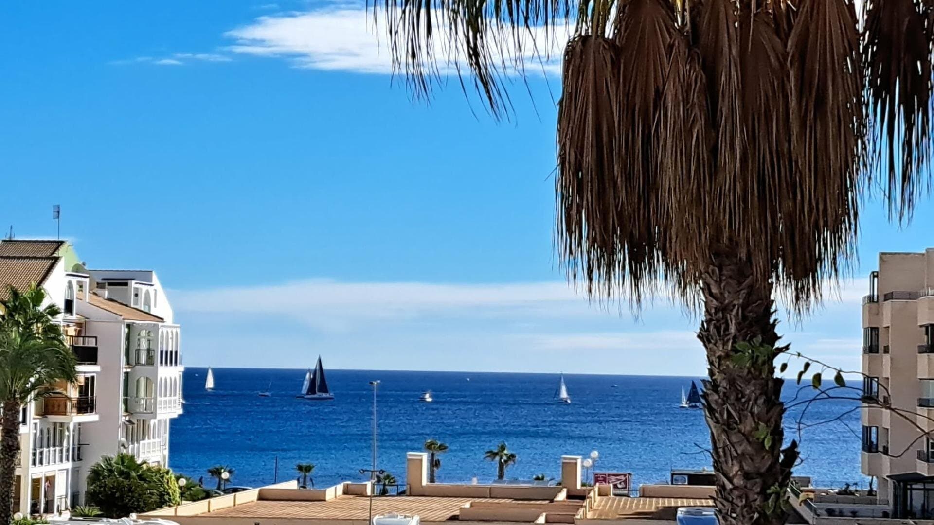 Apartamento de 1 Dormitorios en La Veleta, Torrevieja - 21