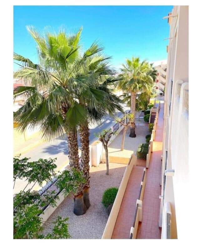 Apartamento de 2 Dormitorios en La Zenia, Orihuela Costa - 18