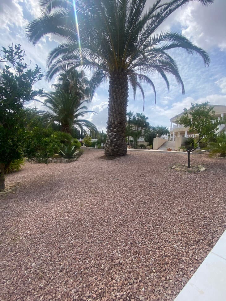 3-Bedroom Villa in Comunidad Valenciana, Algorfa - 9