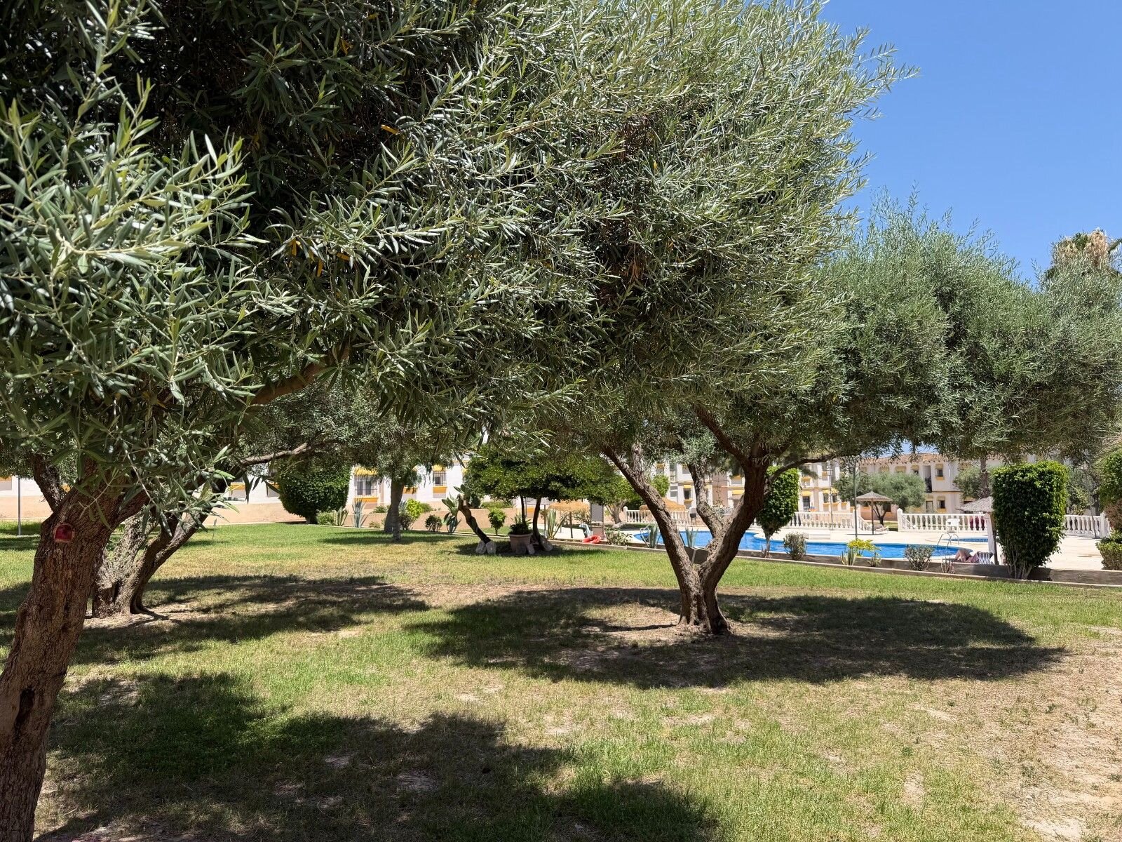 Appartement met 1 Slaapkamers in Blue Lagoon - Galán, San Miguel de Salinas - Image 8