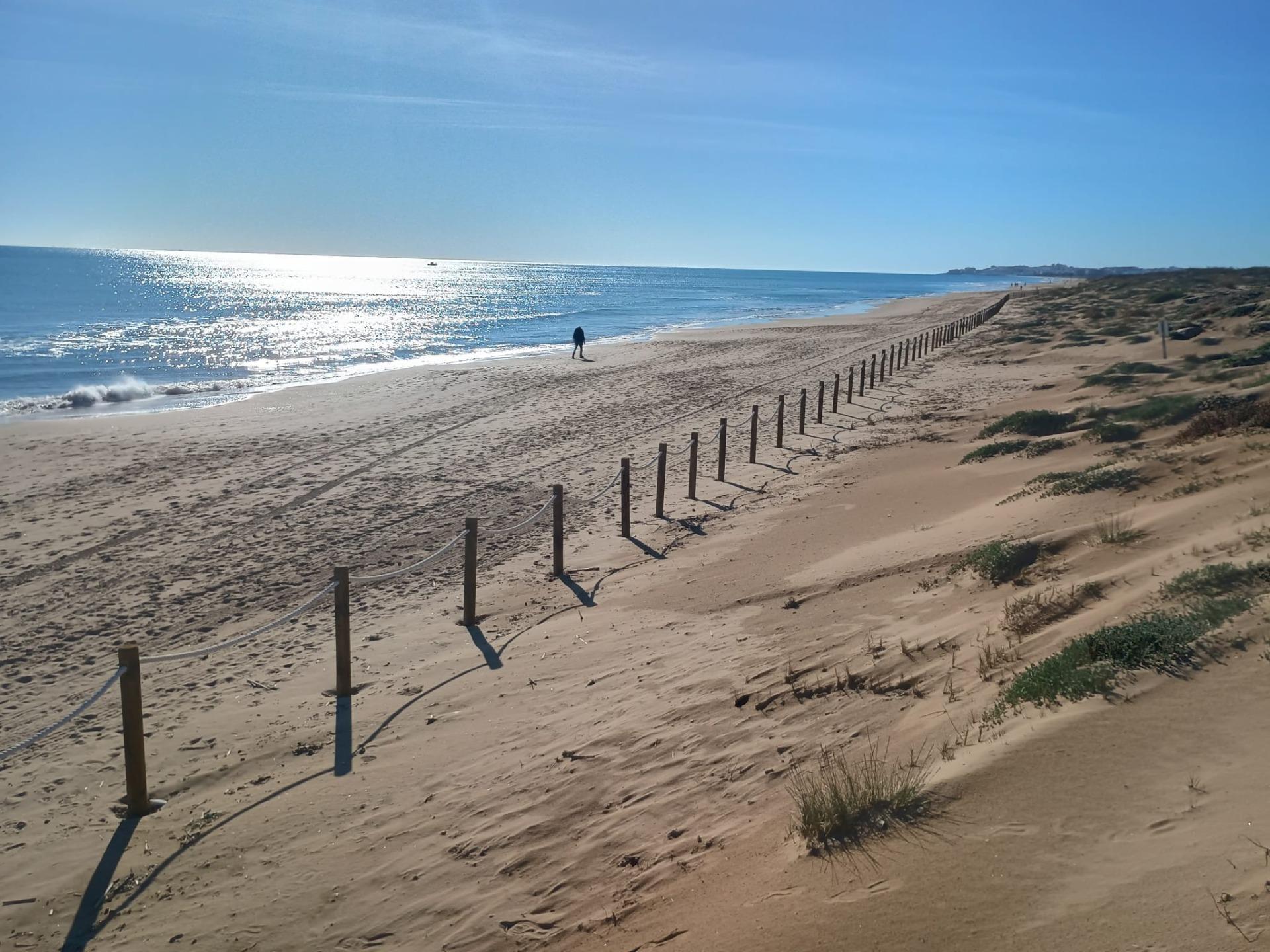 Mieszkanie z 2 Sypialniami w Urbanizaciones, Guardamar del Segura - Image 16