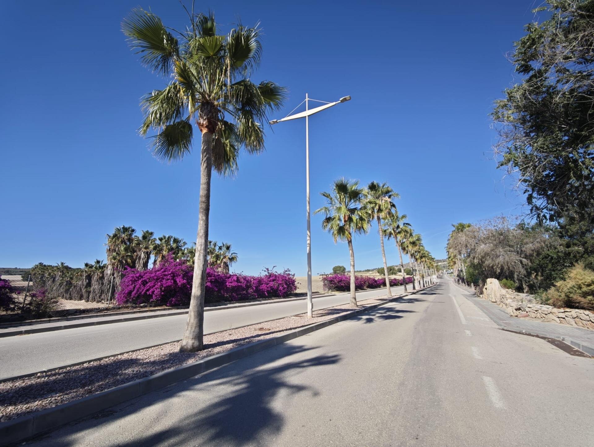 Villa de 4 Chambres à Comunidad Valenciana, Algorfa - Image 31