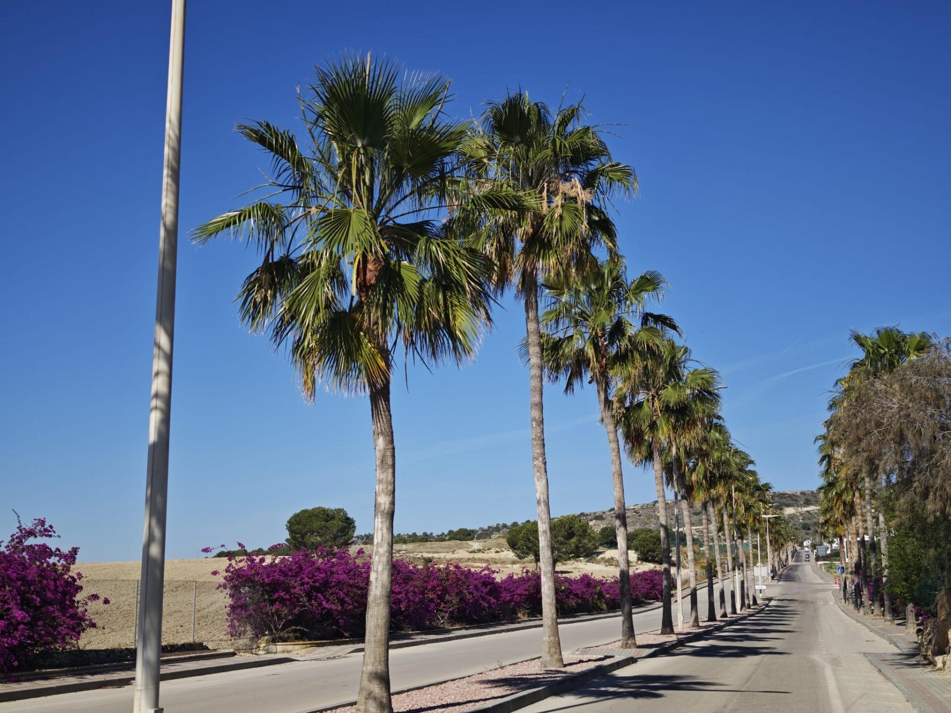 Villa de 4 Chambres à Comunidad Valenciana, Algorfa - Image 32