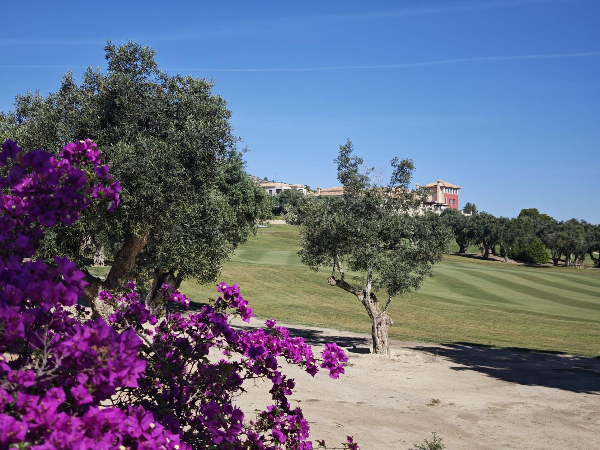 Villa de 4 Chambres à Comunidad Valenciana, Algorfa - Image 33