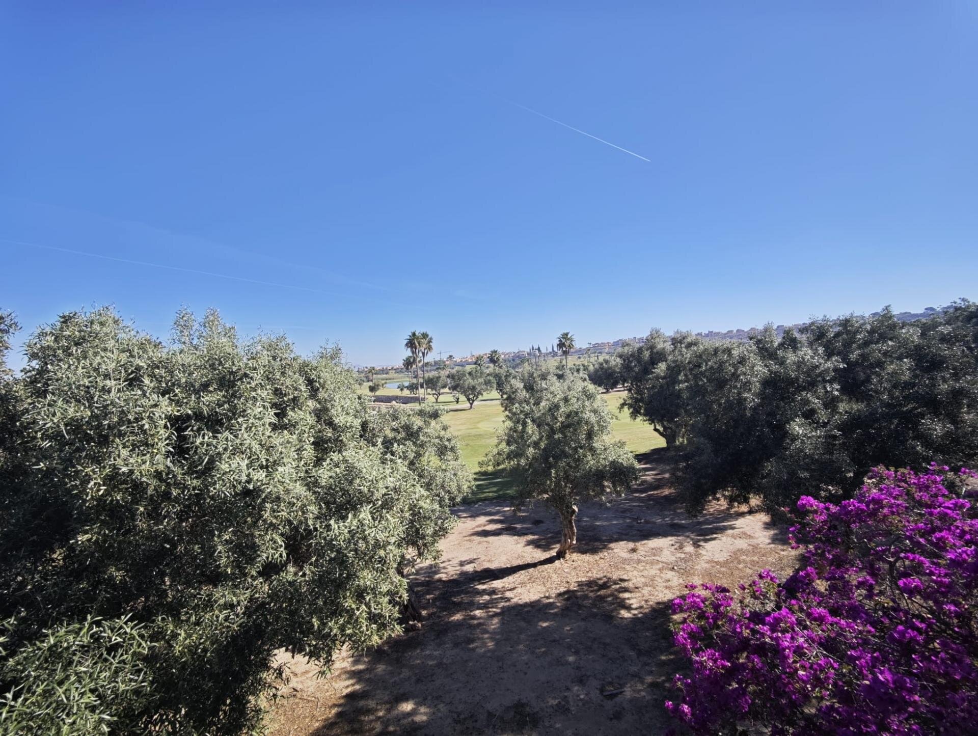 Villa de 4 Chambres à Comunidad Valenciana, Algorfa - Image 34
