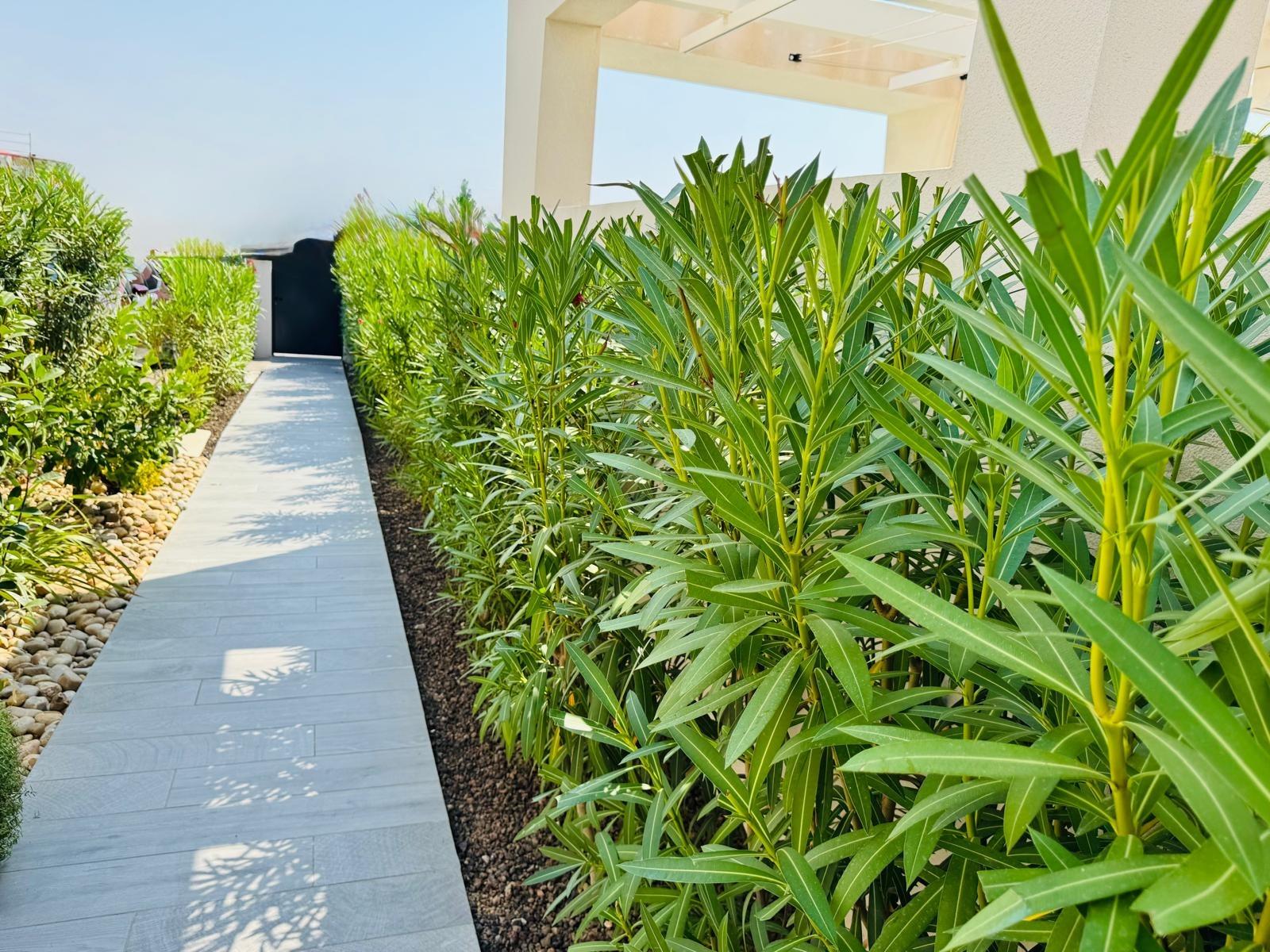 3-Zimmer Villa in Comunidad Valenciana, Algorfa - Image 30