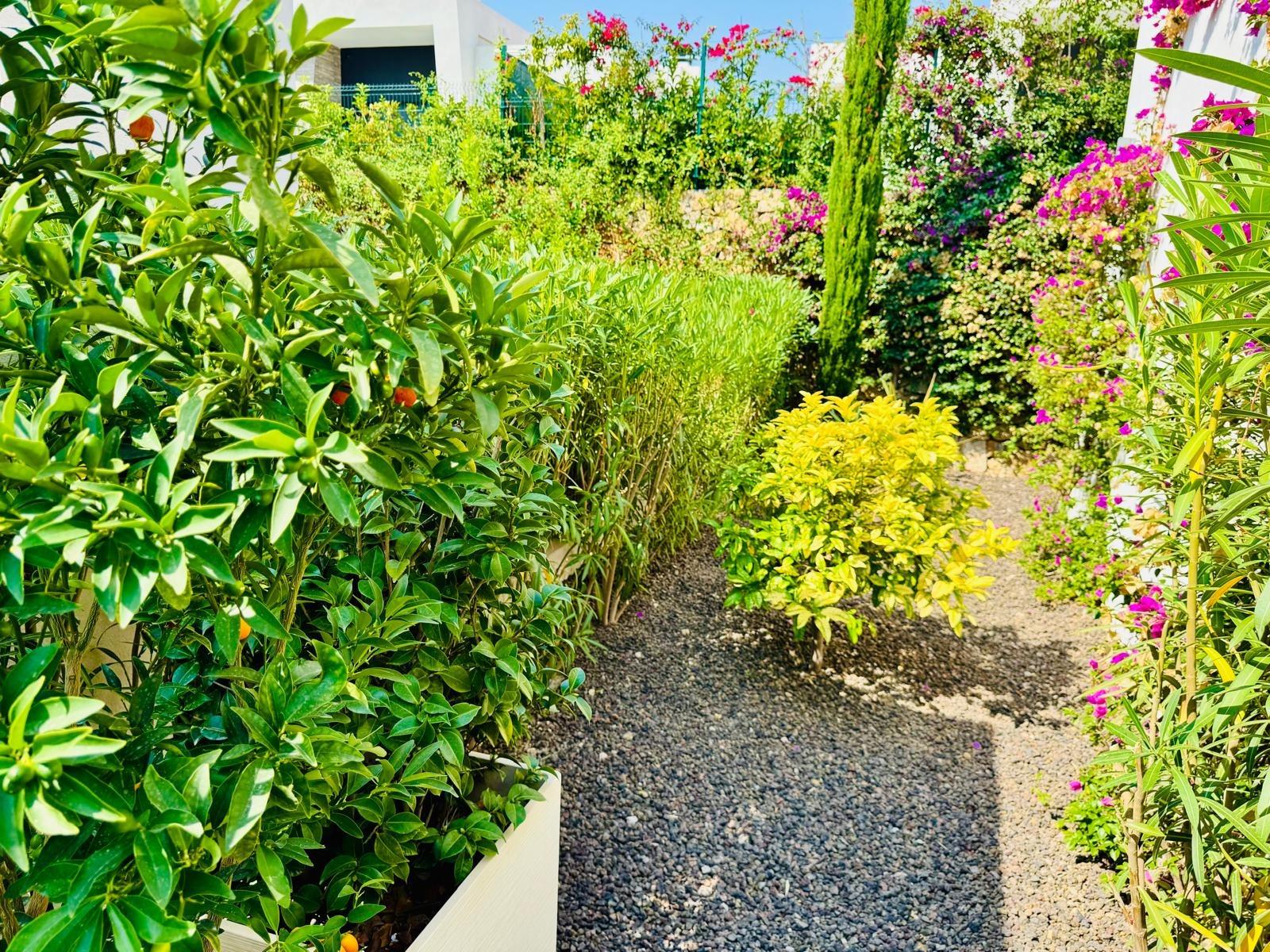 3-Zimmer Villa in Comunidad Valenciana, Algorfa - Image 31