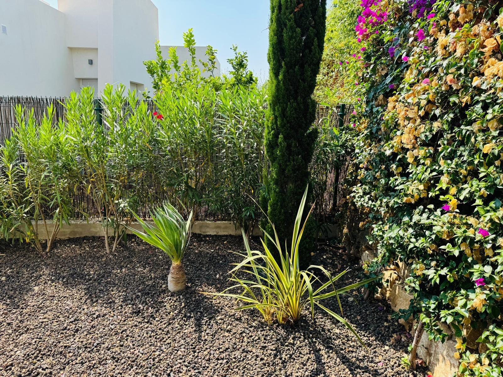 3-Zimmer Villa in Comunidad Valenciana, Algorfa - Image 32