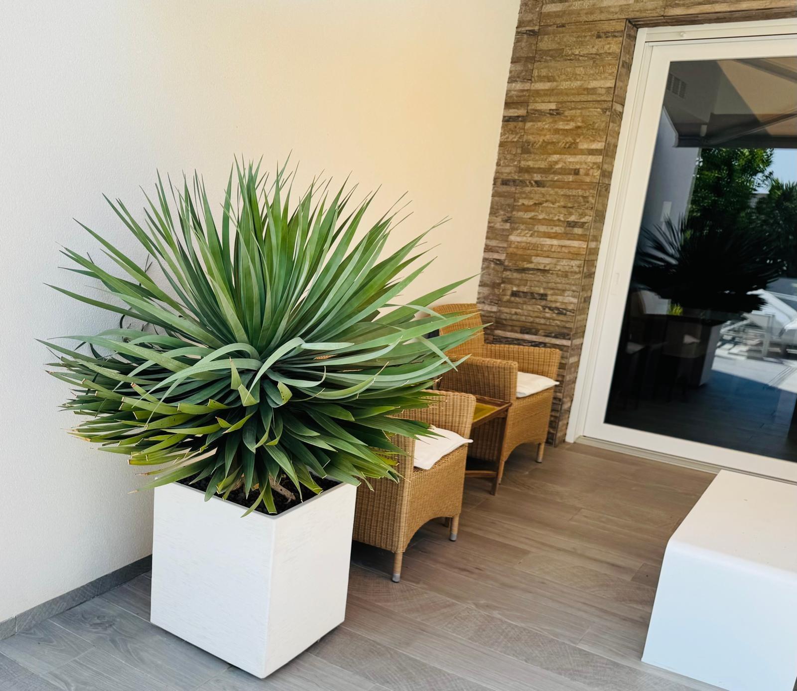 3-Zimmer Villa in Comunidad Valenciana, Algorfa - Image 36