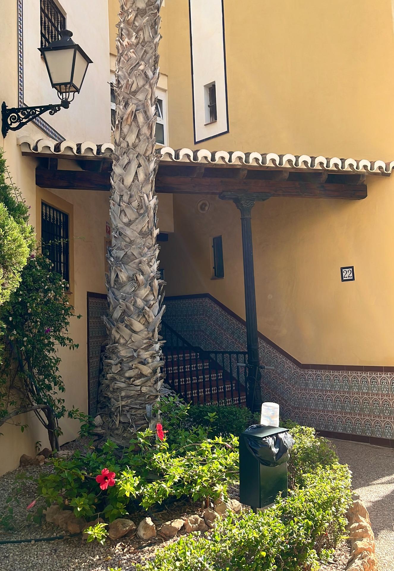 3-Bedroom Penthouse in Los Frutales, Torrevieja - Image 17