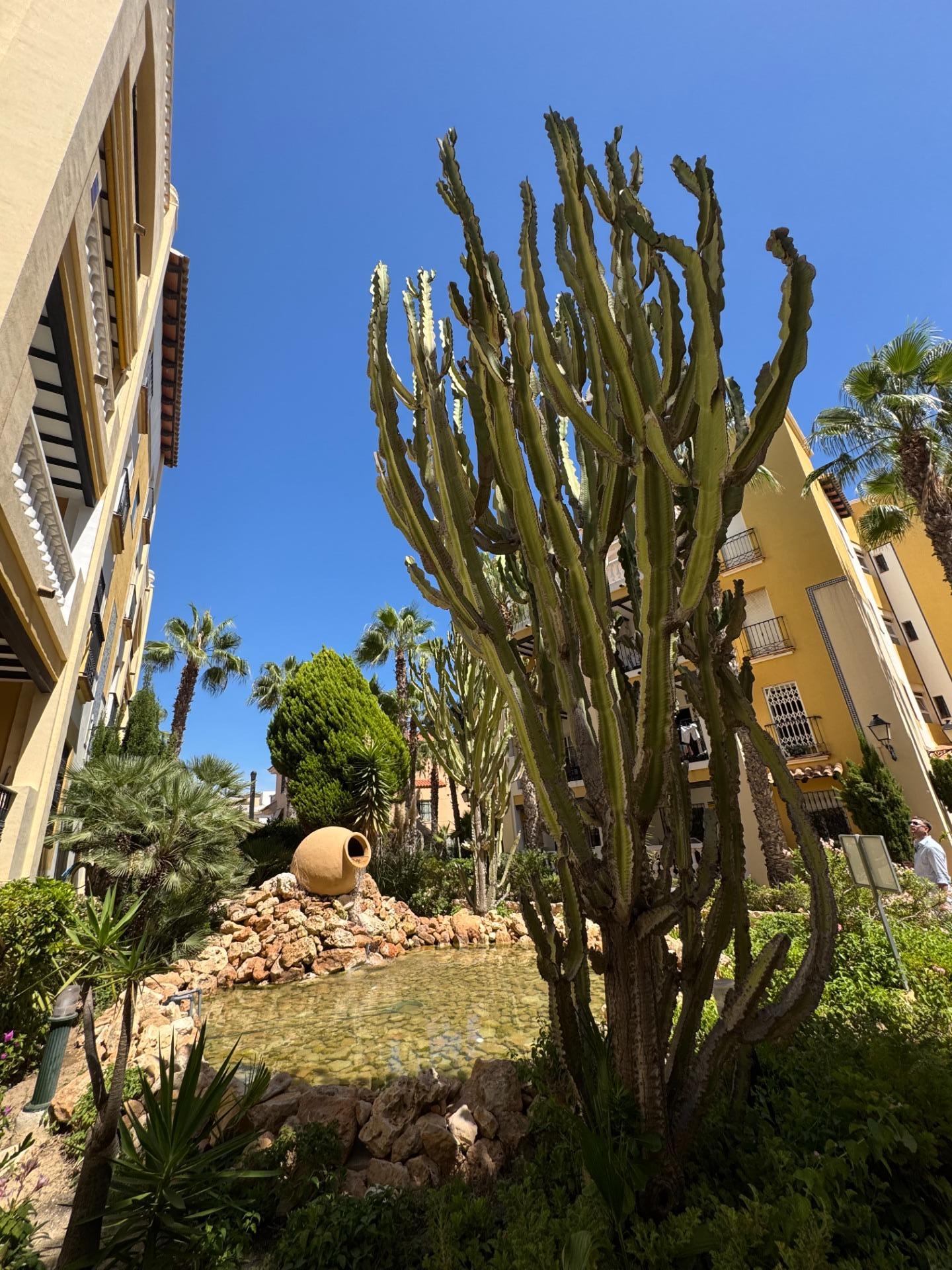 3-Bedroom Penthouse in Los Frutales, Torrevieja - Image 38