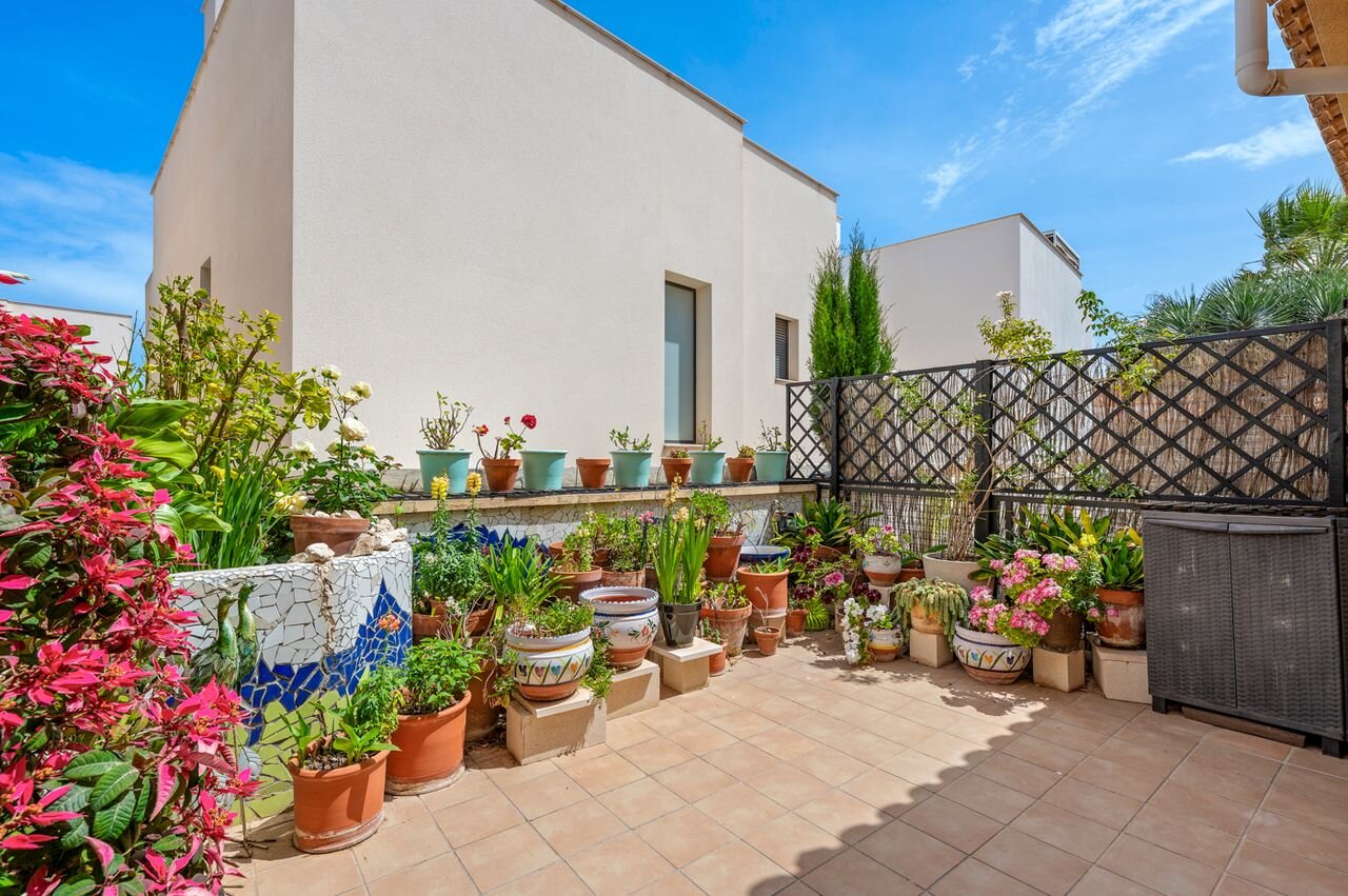 2-Bedroom House in Bellavista, San Miguel de Salinas - Image 34