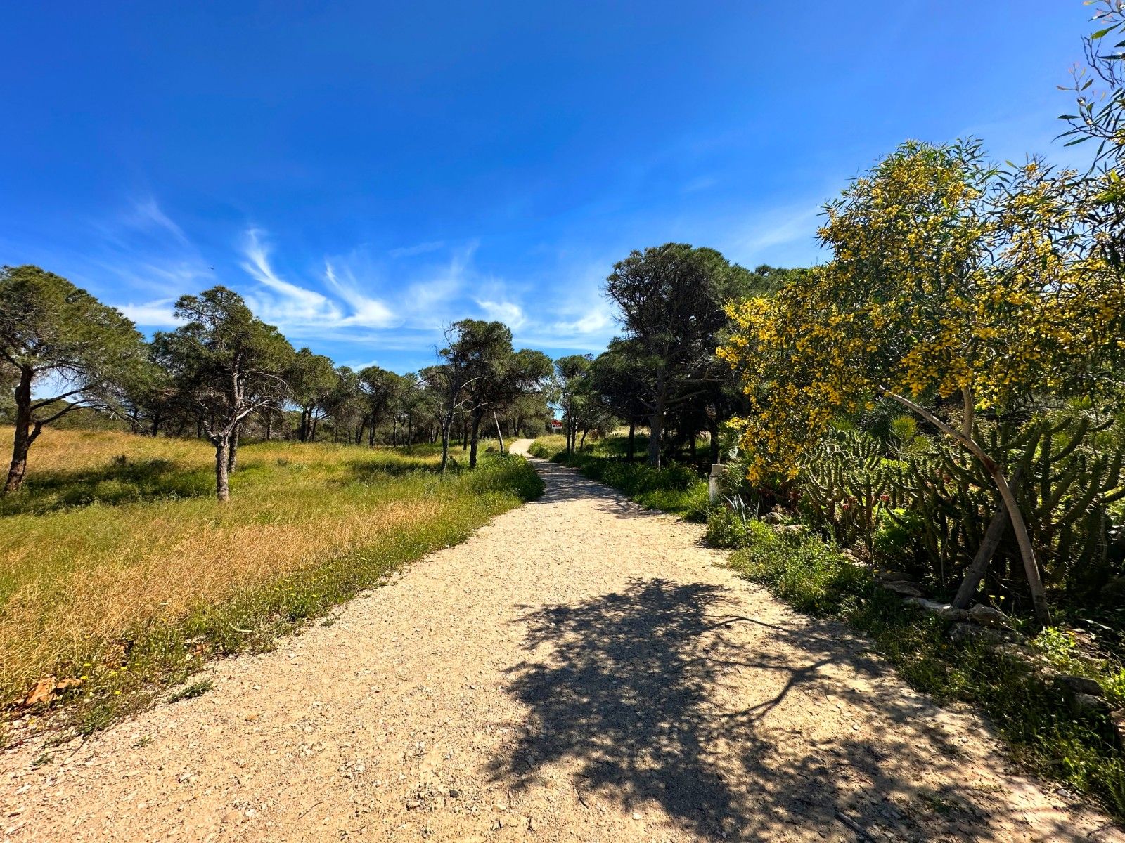 2-Bedroom House in Urbanizaciones, Guardamar del Segura - Image 26