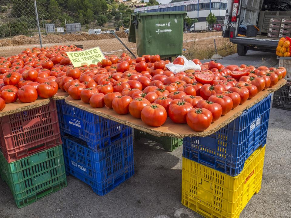 Willa wolnostojąca z 3 Sypialniami w, Pedreguer - Image 7