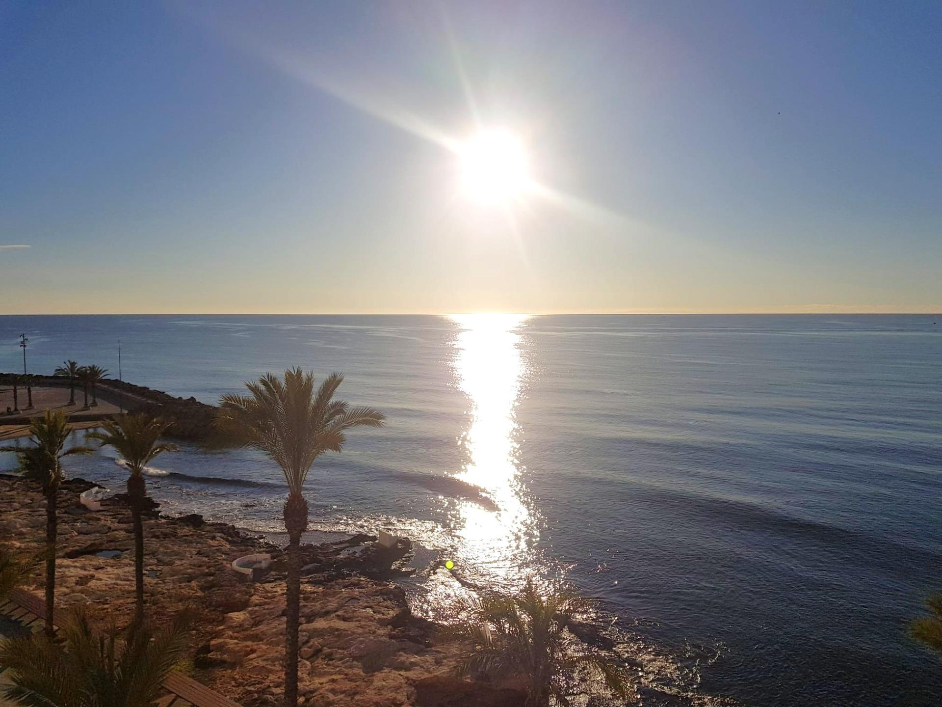 Apartment in Torrevieja - Image 4
