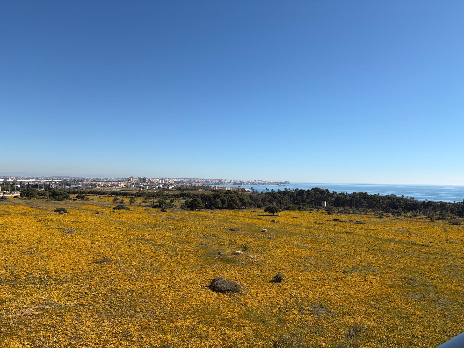 2-Bedroom Penthouse in Punta Prima, Torrevieja - Image 21