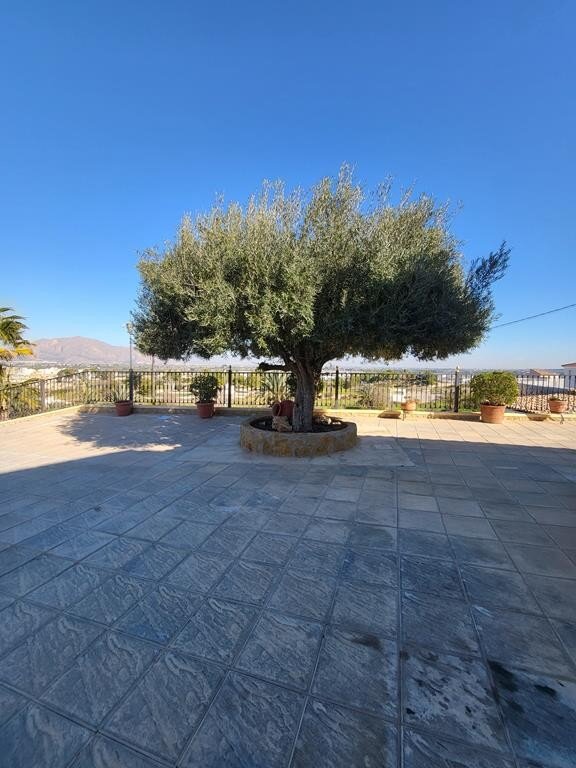 Villa de 4 Chambres à Comunidad Valenciana, Bigastro - Image 5