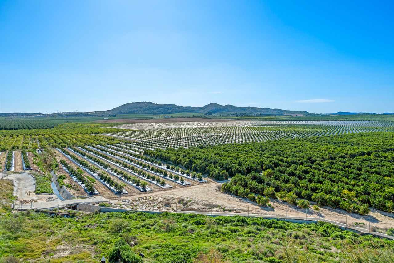 2-Bedroom Apartment in Pueblo 3, Algorfa - Image 25