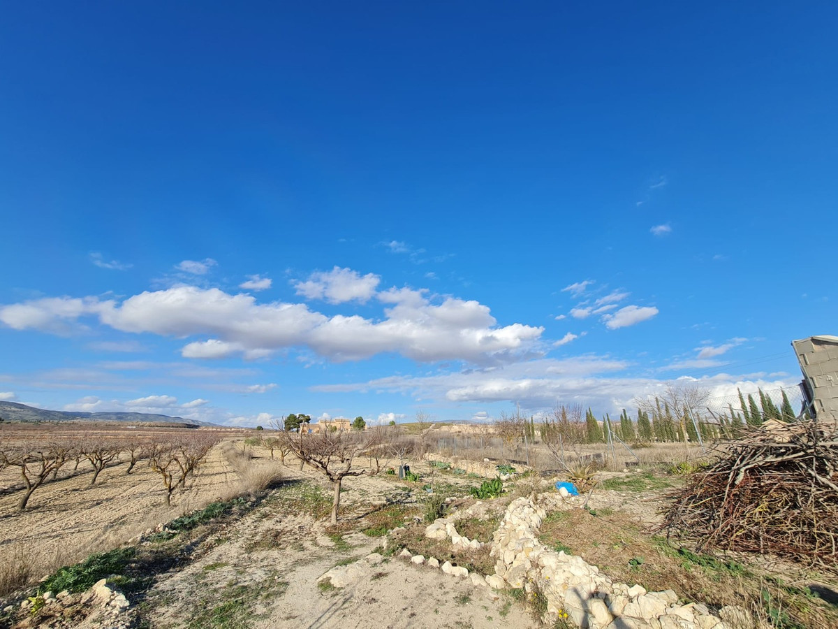 4-Zimmer Haus in Pinoso | Sunny Casas - Immobilien Costa... - Image 20