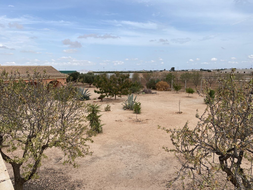 4-Bedroom House in Fuente Alamo de Murcia - Image 42